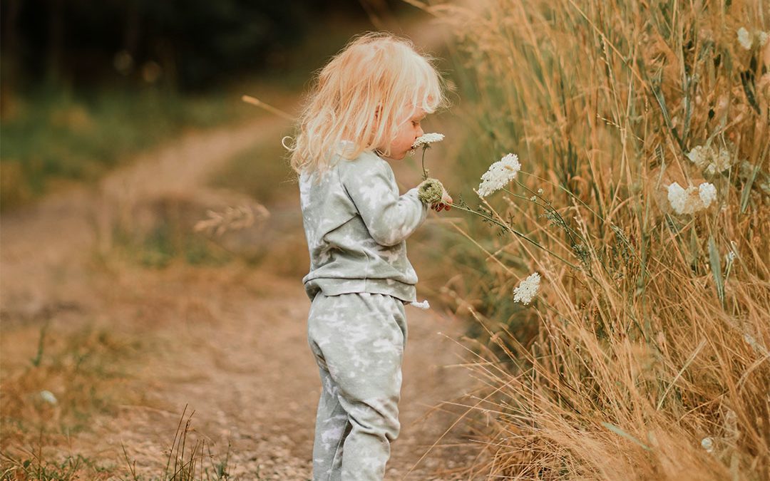 Hooikoorts: Allergisch voor pollen