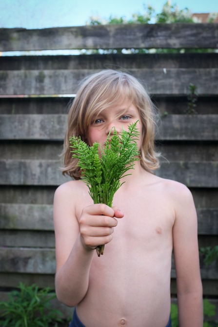 Lekker vies: Maak mest met je kinderen