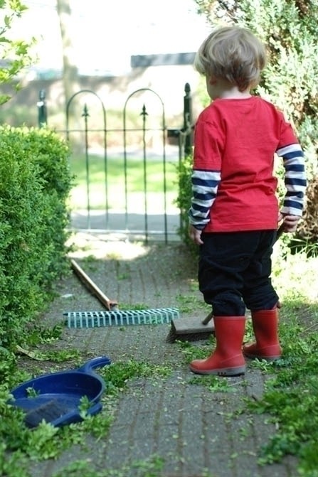 Jong geleerd is oud gedaan?