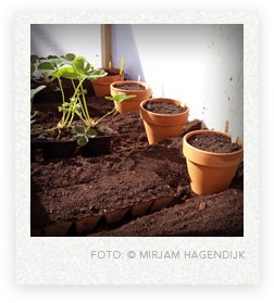 moestuin kinderen