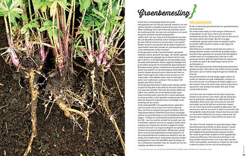 recensie moestuin van madame zsazsa